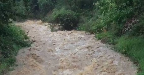 Cyclone Cook Transforms Quiet Stream Into Raging River