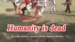 Cow stops Dogs from fighting, Watch Amazing Video | Oneindia News