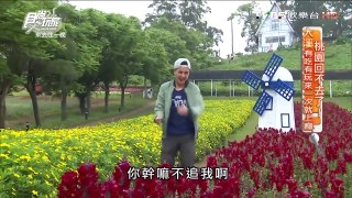 【桃園】大溪花海農場 北台灣最大花海 食尚玩家 20160502