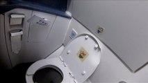Uçaktaki Tuvalet Atıkları Nereye Gidiyor? İzleyin Görün!