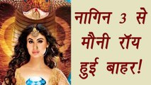 Naagin fame Mouni Roy will NOT be the part of Naagin 3 | FilmiBeat