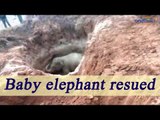 Elephant rescued from dry well in Chhattisgarh, Watch Video | Oneindia News