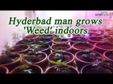 Hyderabad man caught growing 'Marijuana' inside his house, Watch Video | Oneindia News