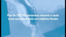 Plus de 500 000 personnes meurent à cause d'une eau contaminée aux matières fécales