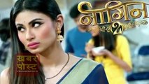 NAAGIN 2 -13th April 2017 Latest Upcoming news NAAGIN Season 2 Colors Tv News