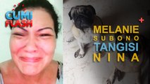 Anjing Kesayangan Mati, Melanie Subono Menangis Histeris - CumiFlash 13 April 2017