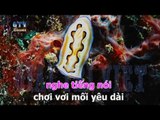{ Karaoke } Búp Bê Bằng Sứ