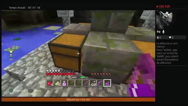Mini jeux Minecraft (7)
