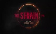 The Strain - Promo 1x08