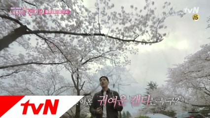 '불꽃남자' 백성현을 찾아온 캔디 '빨간머리 앤'은 누구?