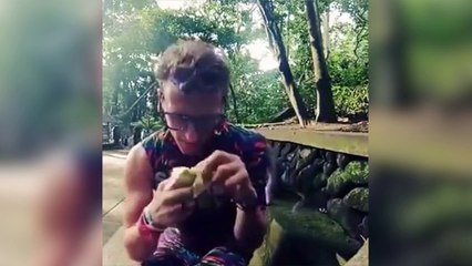 Un singe vole la banane d'un homme !