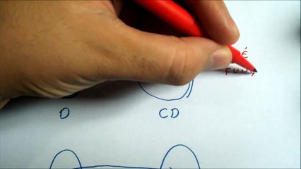 Funções Básicas  ( Parte 5 )