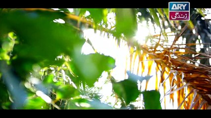 Dil-e-Barbad Episode 51 - on ARY Zindagi in High Quality - 13th April 2017