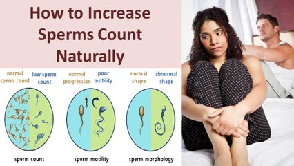 How to Increase Sperm Count Naturally