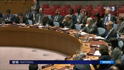Syrie : la Russie oppose son veto à la résolution de l'ONU