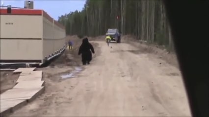 Pria Ini Lari Ketakutan Saat Melihat Beruang Liar