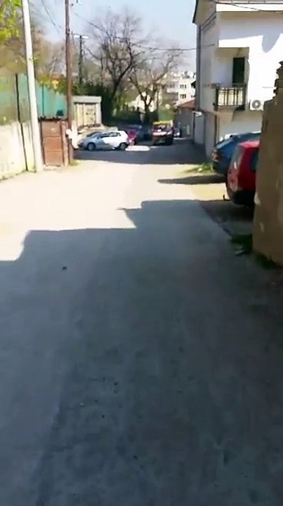 Blerja e hekurishteve ne kryeqytet
