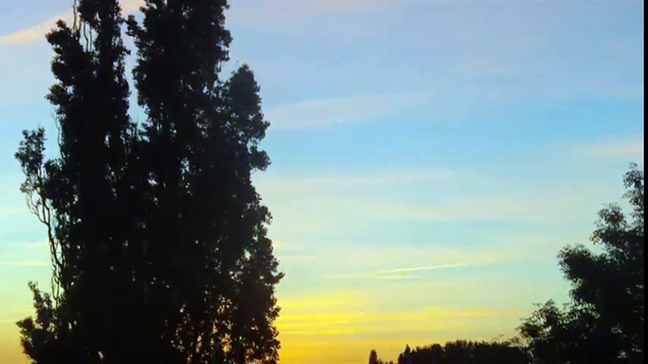 Geistesgestört (Chemtrails)