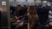 Grey's Anatomy: Meredith Faces Her Airplane Fears -- Watch