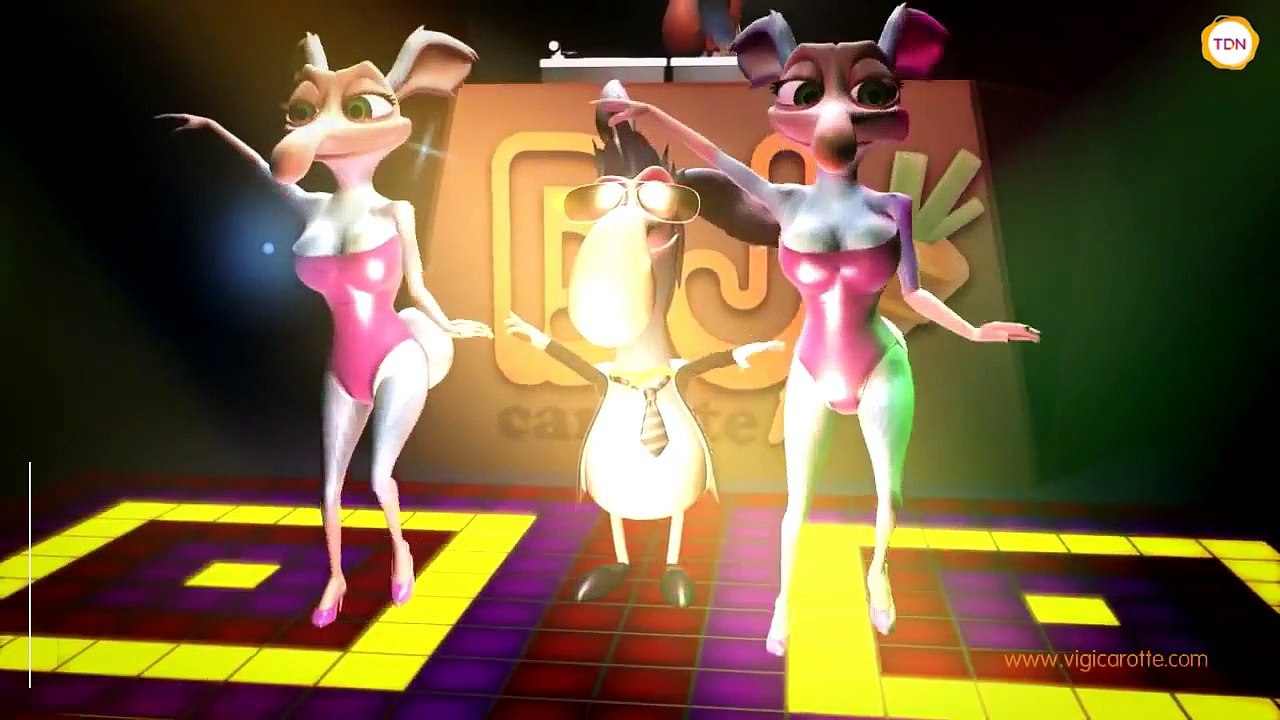 Vigicarottes