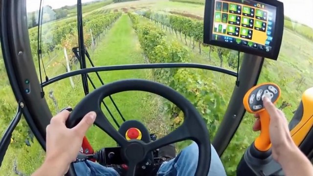 Üzüm Toplama Makinesi! Adamlar Aşmış!