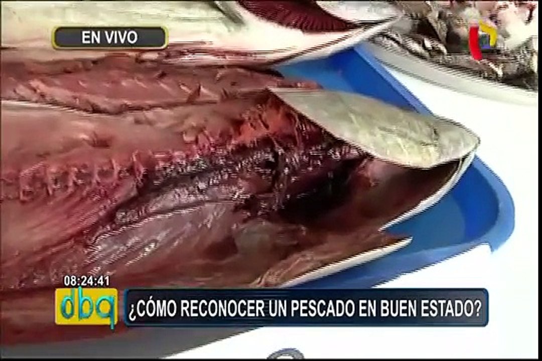 Semana Santa: consejos para reconocer un pescado en buen estado