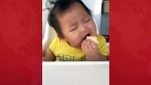 Baby Sleeping While Eating || Funny Video Ever || Must Watch