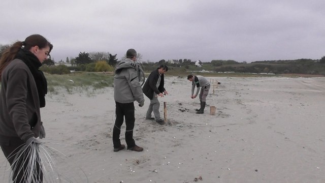 Travaux de Protection de Bon-Abri réserve Naturelle Baie Saint. Brieuc (clip)