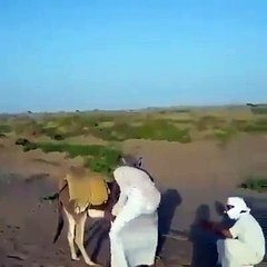 hahaha very fuuny clip funny videos 2016