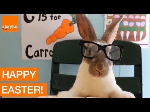 The Easter Bunny Is Coming for You