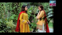 Haal-e-Dil Episode 127 - on Ary Zindagi in High Quality 13th April 2017