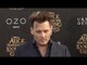 Johnny Depp "Alice Through the Looking Glass" Premiere Red Carpet
