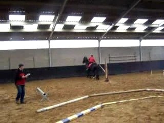 Suelto+Hélène équitation travail