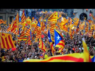 Jo també he dormit a l'alba