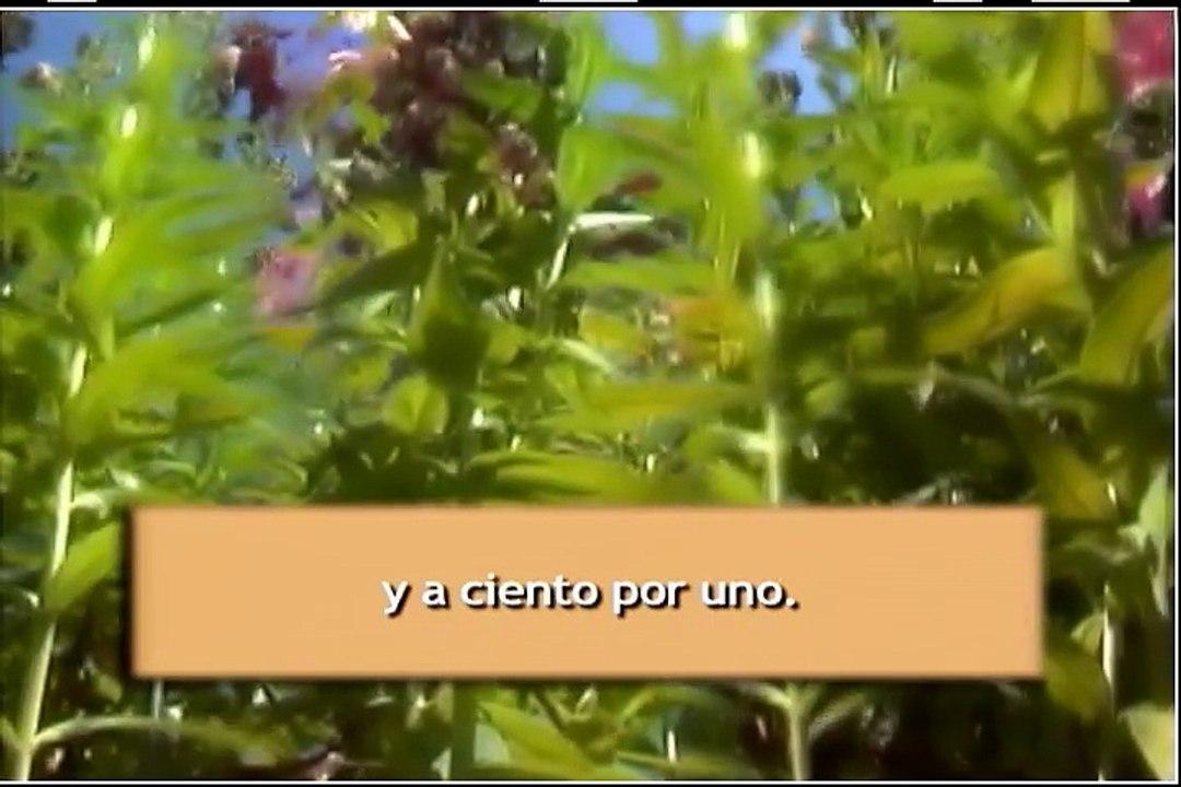 Los Pasos del Maestro Temporada 2, Episodio 2 La Conciencia