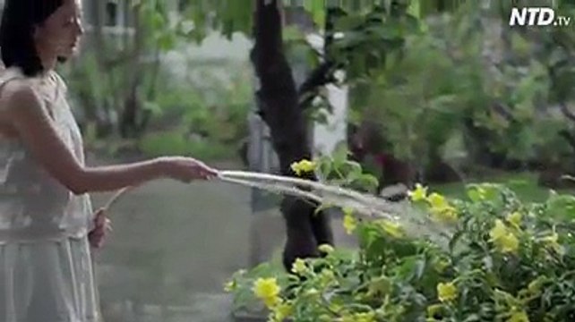 E rrihte motrën e vogël çdo ditë, por pas shumë vitesh i ndodhë e papritura...(Video)
