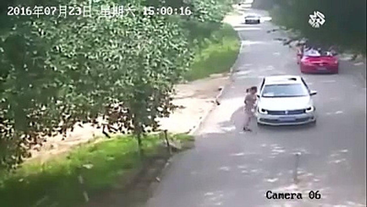 Lion Attacks  Woman
