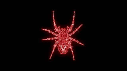 Wolf Spider - Sense Of Life