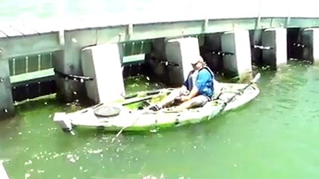 massive catch