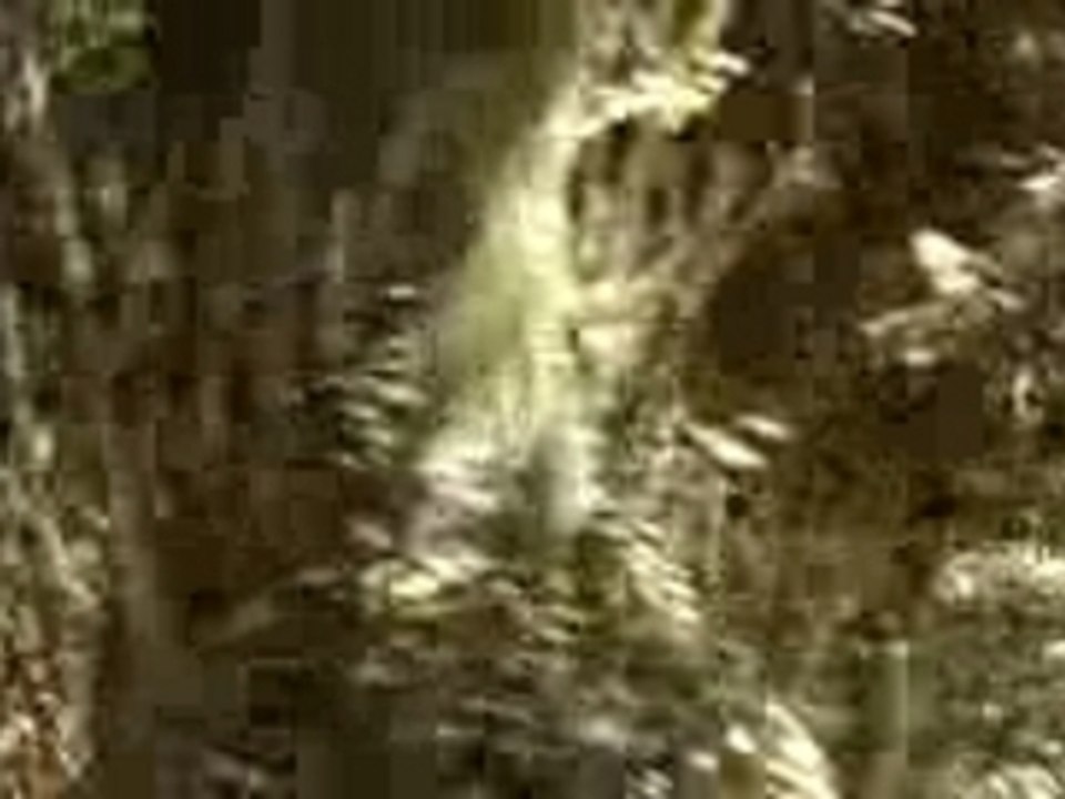 Les Visiteurs -  Un sarazzin