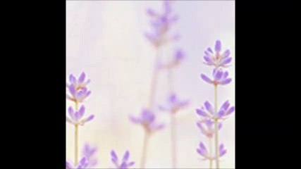 Cheb Hamza ( saher lyeli ) , الشاب حمزة ( سهر الليالي )