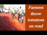 Chhattisgarh Farmers throw tons of tomatoes on road, Upset over price drop | Oneindia News