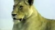 Crater Lions Of Ngorongoro: African Animals [Full Length Nature Documentary]