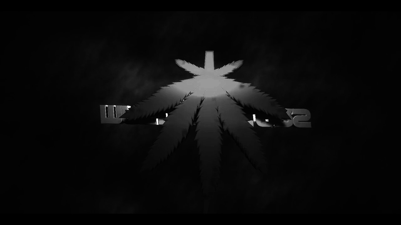 intro 2
