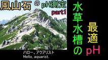 【水槽111】風山石のｐH測定 Part1「水草水槽の最適ｐH」PH of Fuzanseki Stones ① Optimal pH range