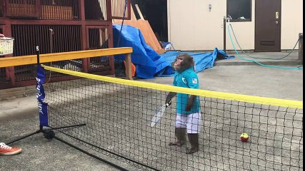 Monkey from Japan setting internet on fire via Play Tennis 2017
