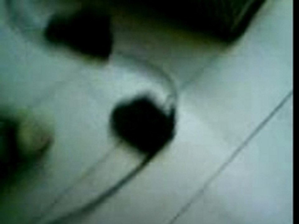 sam fai dla guitare : sum 41 sat lip (un truk come ca)