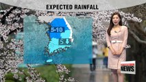 Rain in Korea's central region, relatively cooler highs