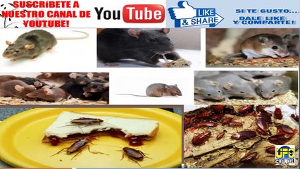 COMO DESTAPAR LA CAÑERÍA O TUBERÍA?