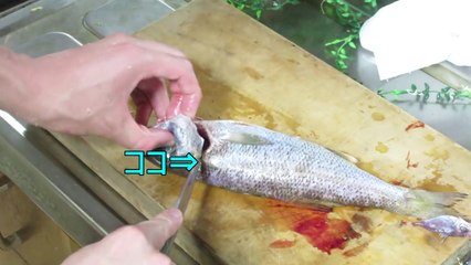 激うま！クロムツで一夜干し作ってみた【かねこのきまぐれクック　６本目】